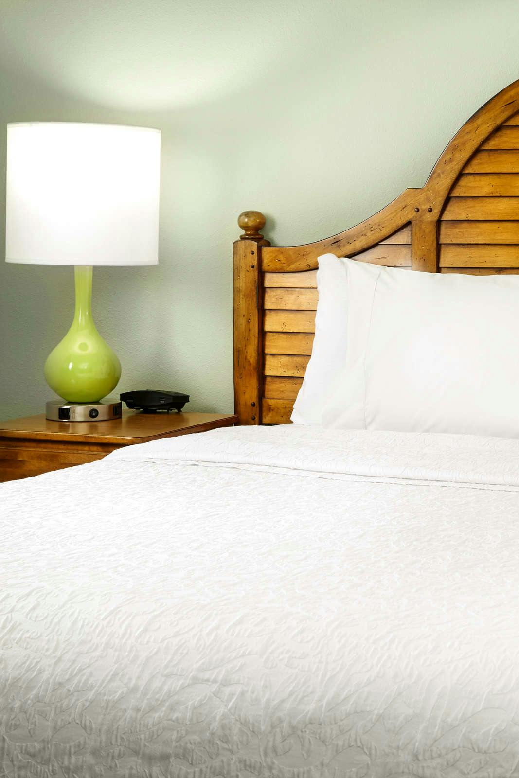 Hotel Hampton Inn & Suites Savannah/Midtown, GA photo 2