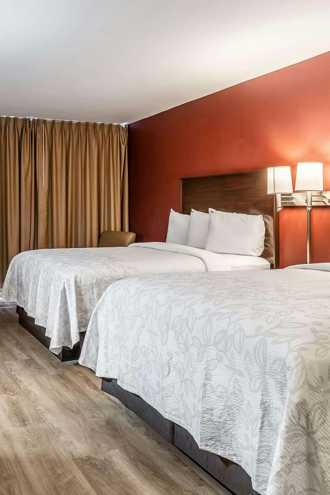 Hotel Red Roof Inn & Suites Houston IAH Airport SW photo 3