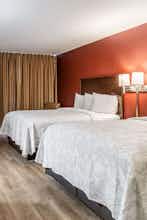 Hotel Red Roof Inn & Suites Houston IAH Airport SW photo 3