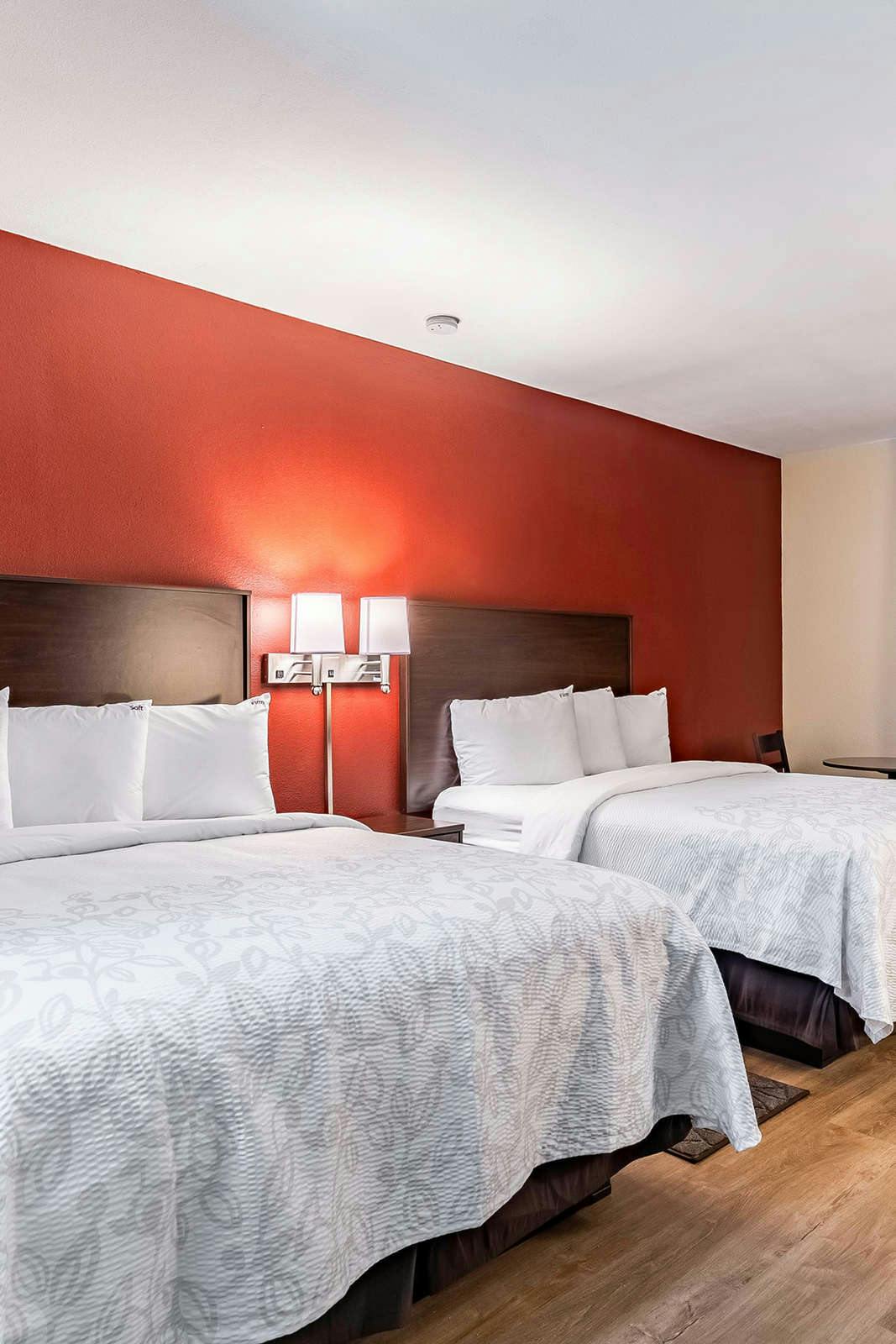 Hotel Red Roof Inn & Suites Houston IAH Airport SW photo 2