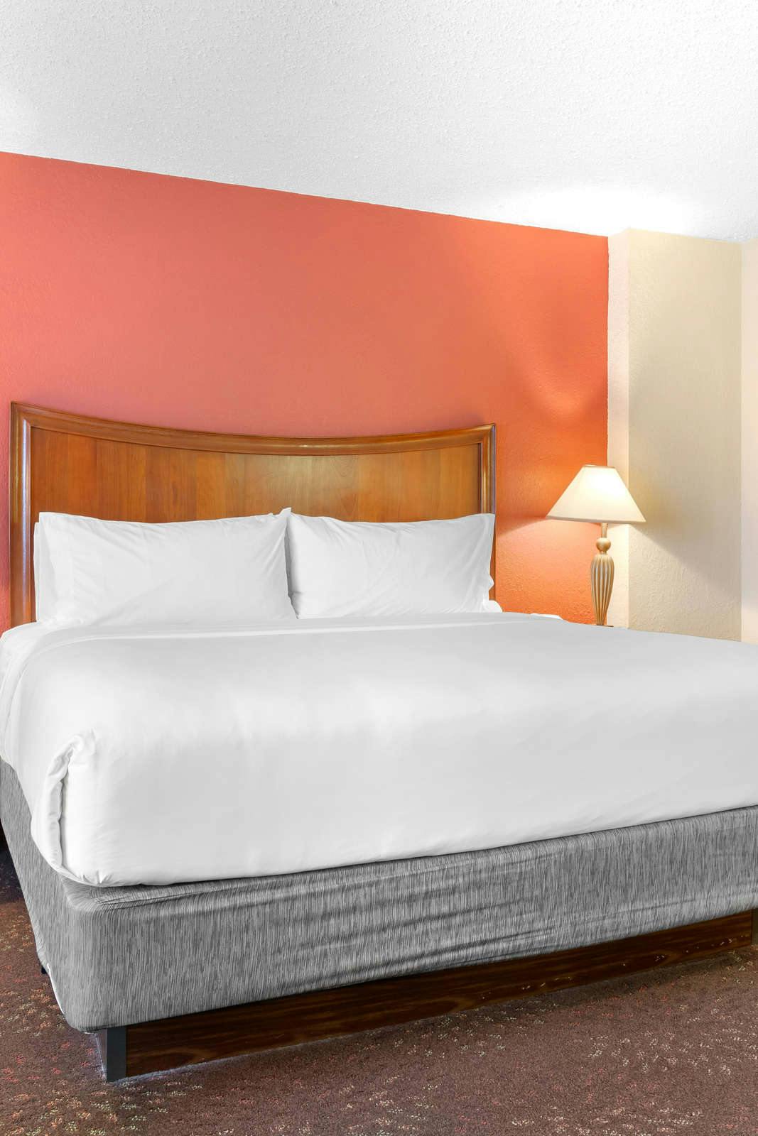 Hotel Holiday Inn Express Chicago Downers Grove photo 3