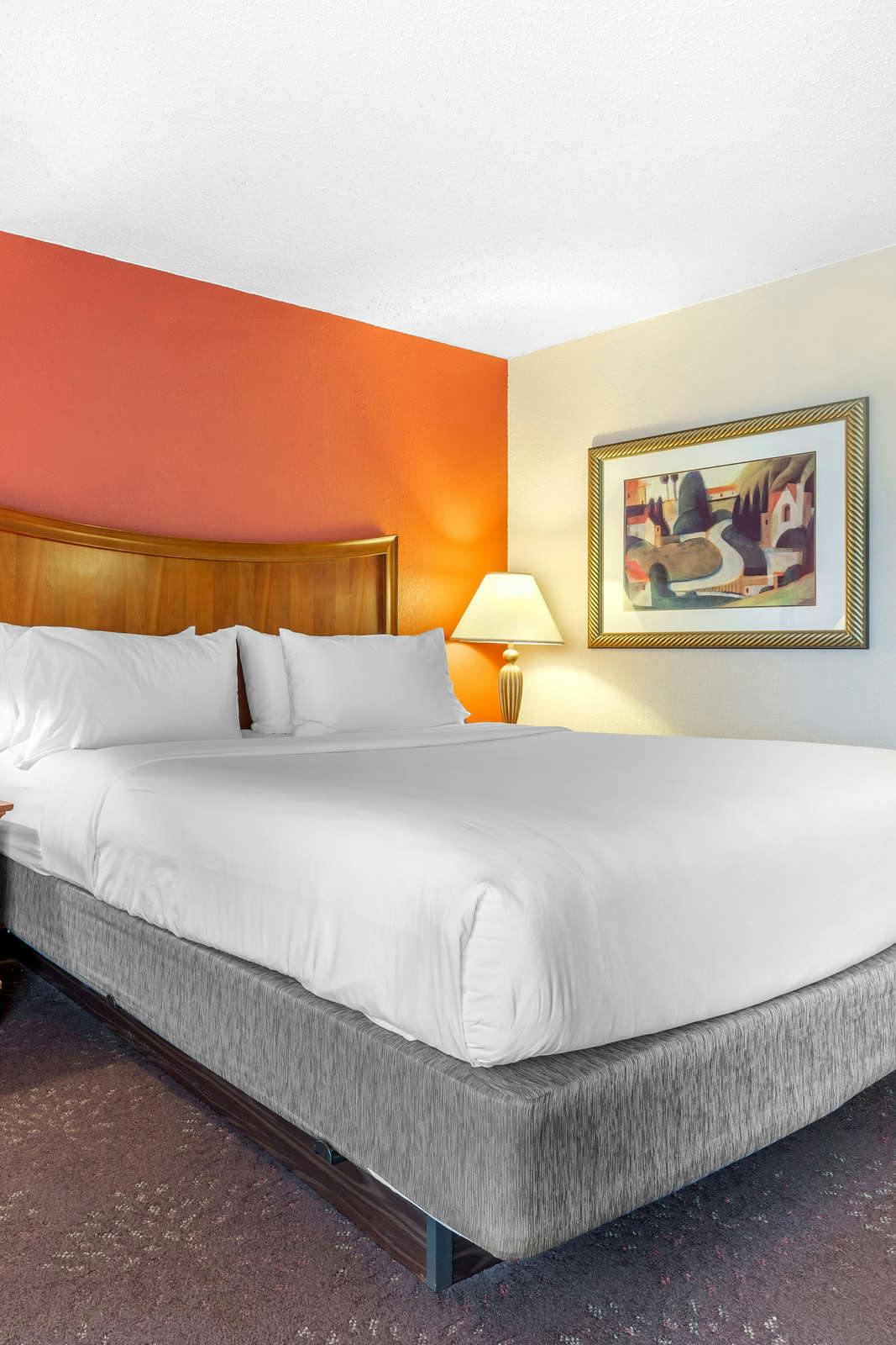 Hotel Holiday Inn Express Chicago Downers Grove photo 1