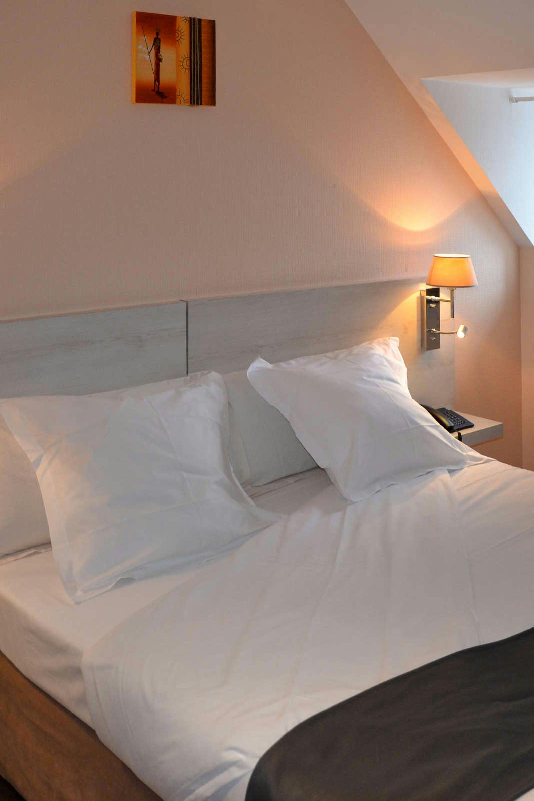 Hotel Hotel Le Dauphin à L'Aigle photo 3