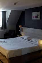 Hotel Hotel Le Dauphin à L'Aigle photo 5