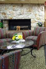 Hotel Safari Inn photo 4