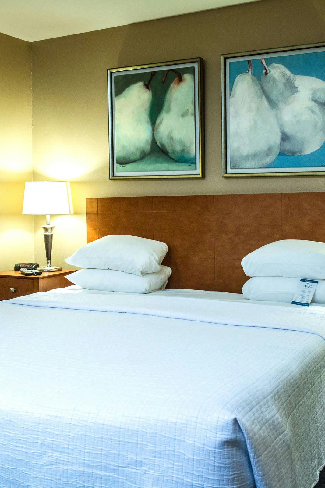 Hotel The Cove Of Lake Geneva photo 3