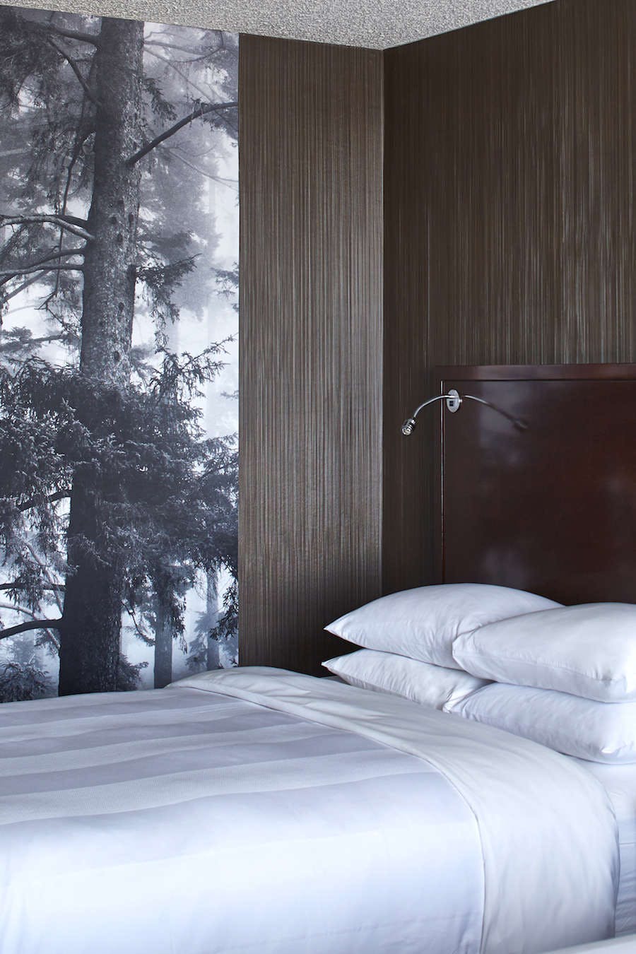 Hotel Minneapolis Marriott Southwest photo 1