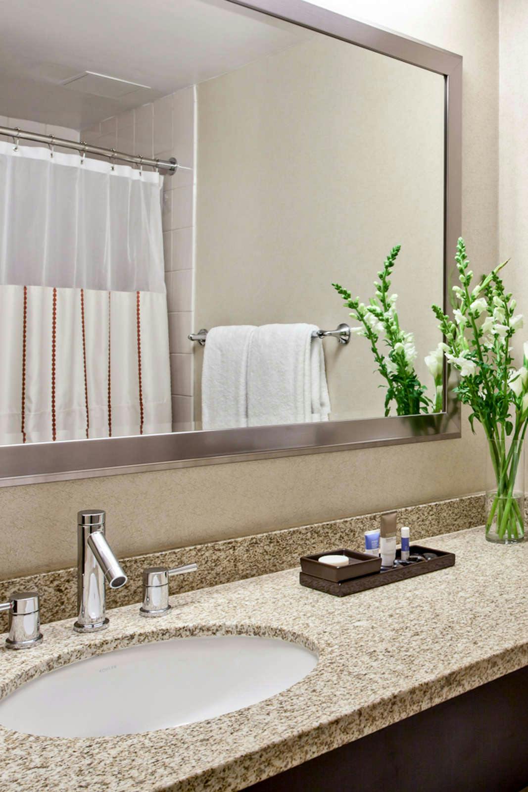 Hotel Hyatt Regency O Hare Chicago photo 3