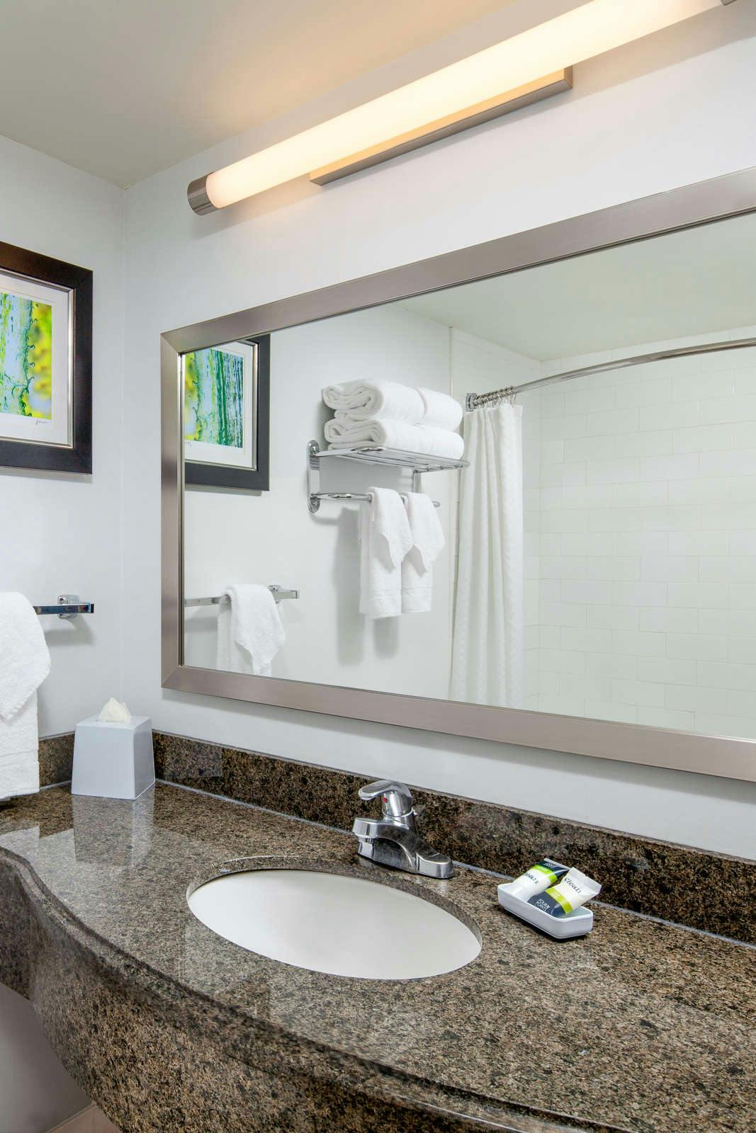 Hotel FOUR POINTS BY SHERATON HOTEL & SUITES SAN FRANCISCO AIRPORT photo 5