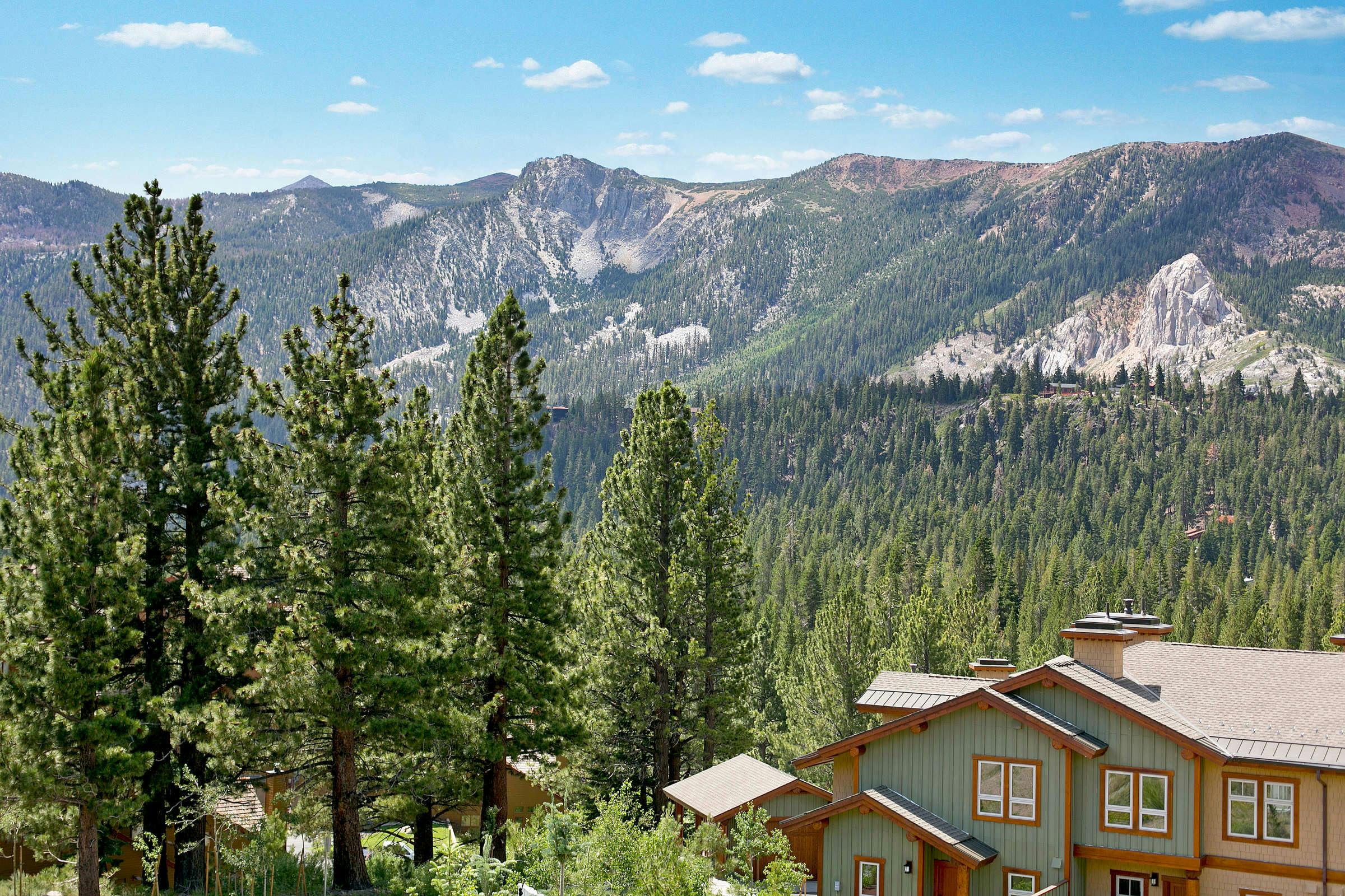 Hotel Juniper Springs Resort photo 1