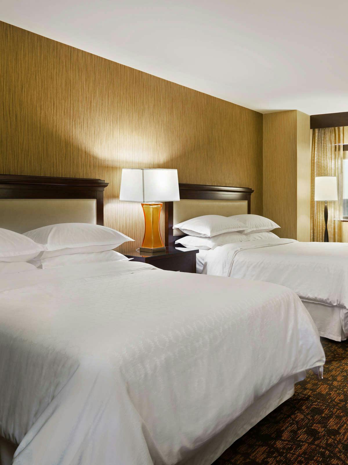 Hotel Sheraton Springfield Monarch Place Hotel photo 3