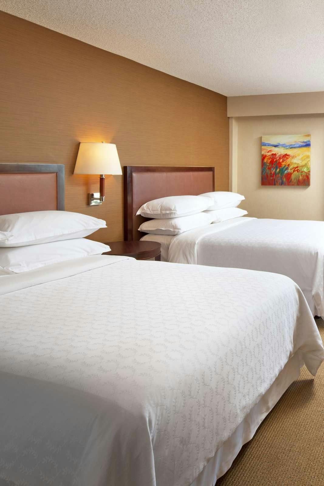 Hotel Sheraton Albuquerque Uptown photo 3