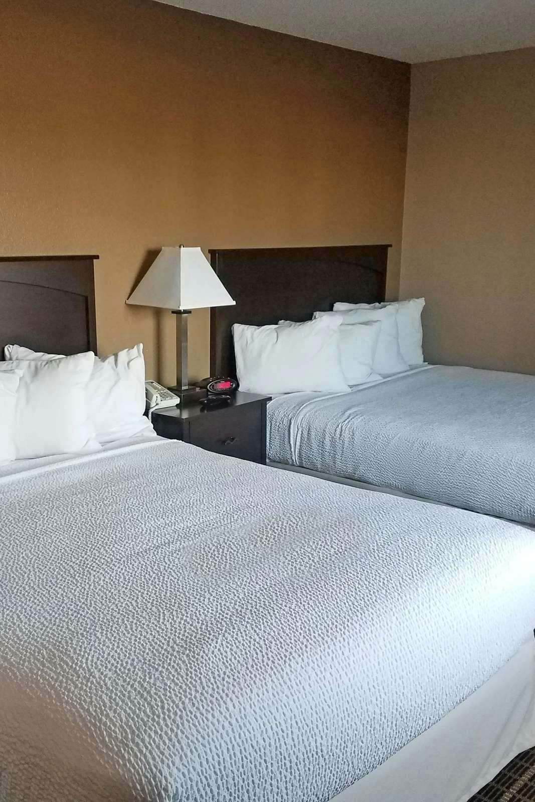 Hotel Americas Best Value Inn & Suites Bismarck photo 3