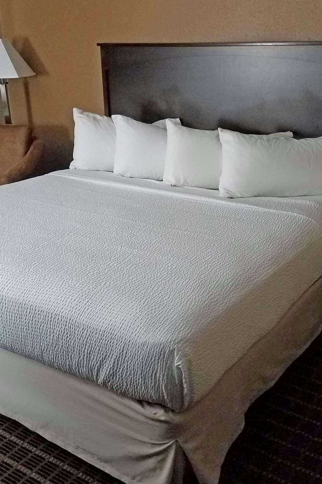 Hotel Americas Best Value Inn & Suites Bismarck photo 2