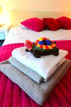 Hotel Hotel Biscuit photo 4