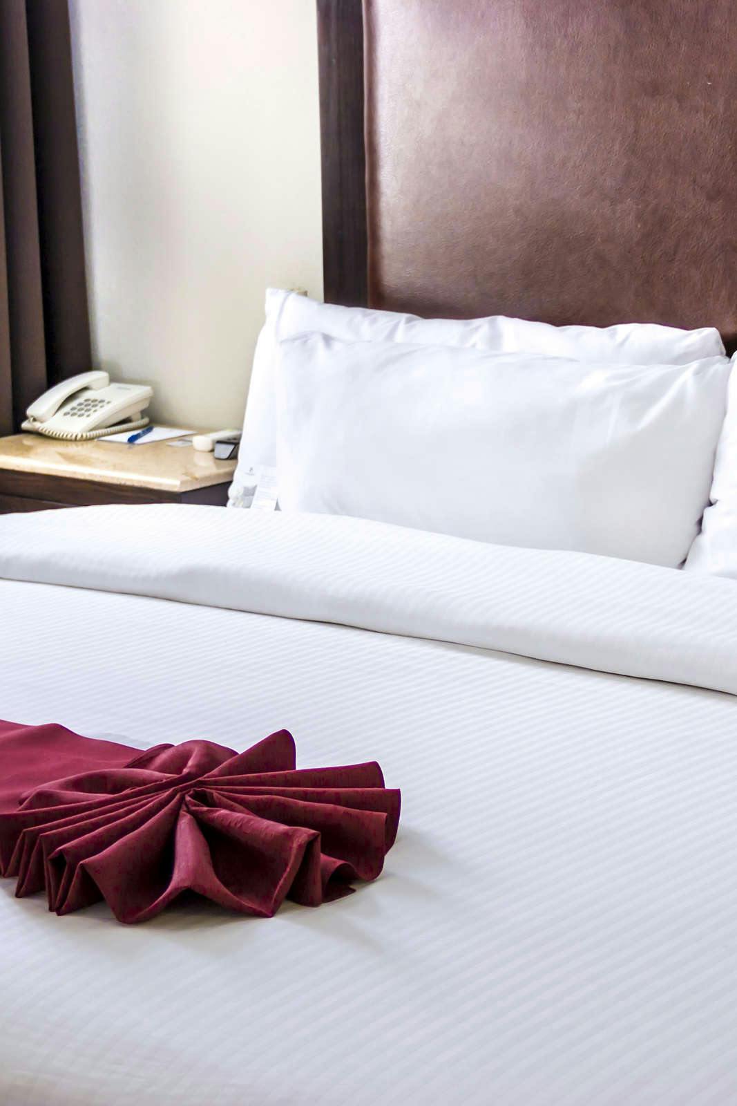 Hotel Real de Minas Poliforum photo 1