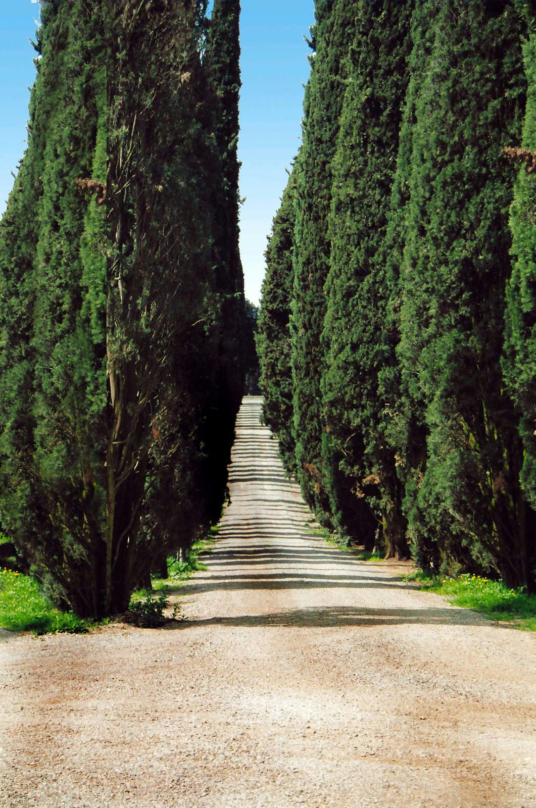 Hotel Borgo Scopeto Relais photo 1