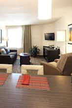 Hotel Candlewood Suites Harlingen photo 3