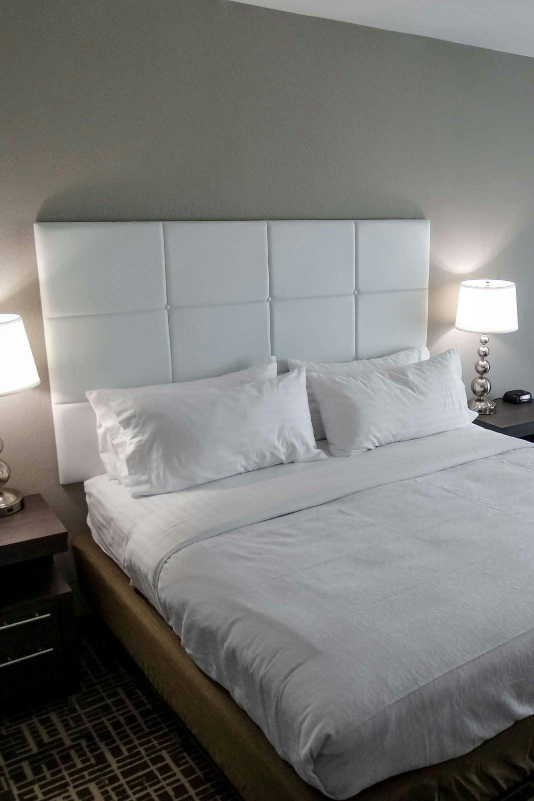 Hotel Holiday Inn Covington photo 3