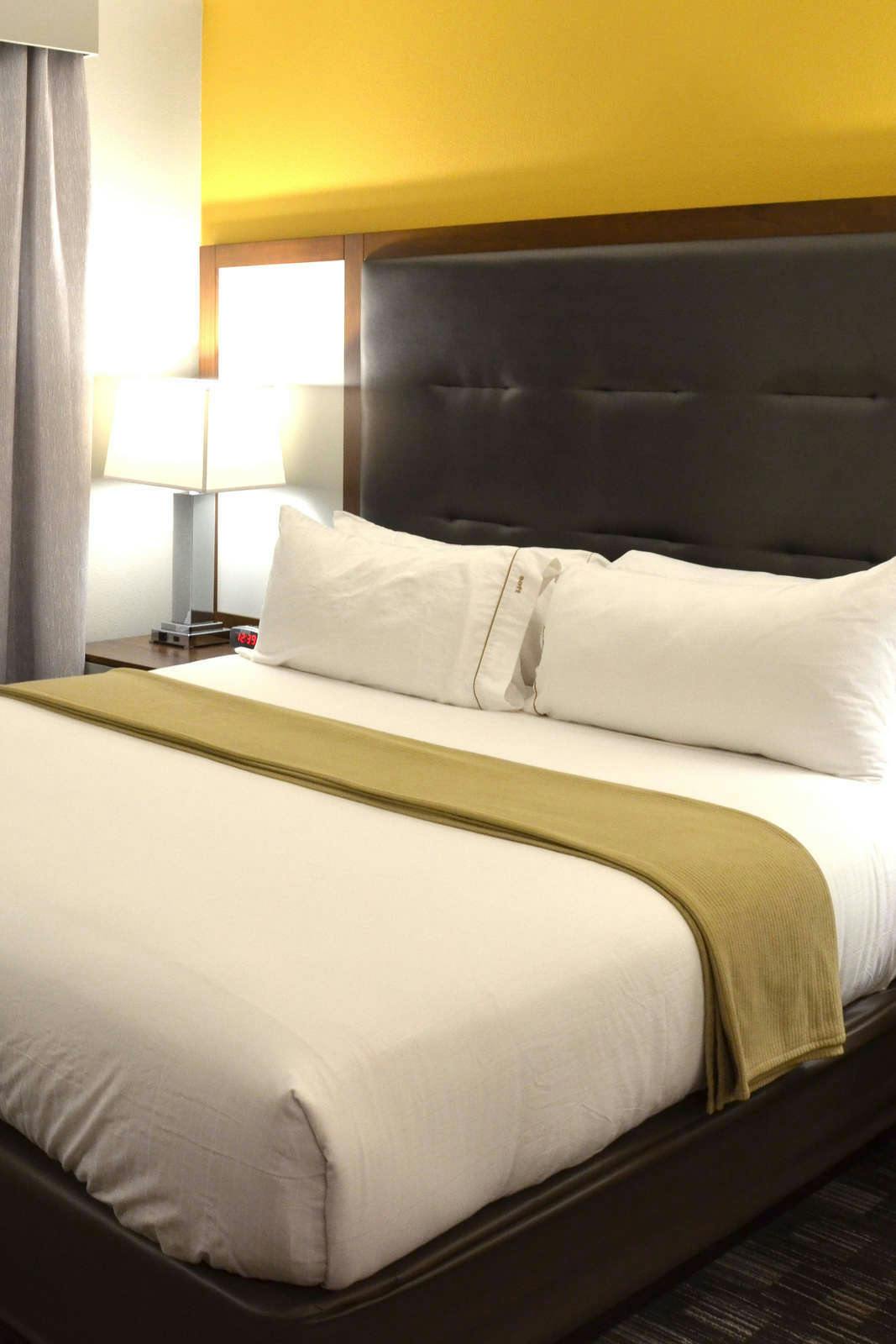 Hotel Holiday Inn Express & Suites Albany photo 3