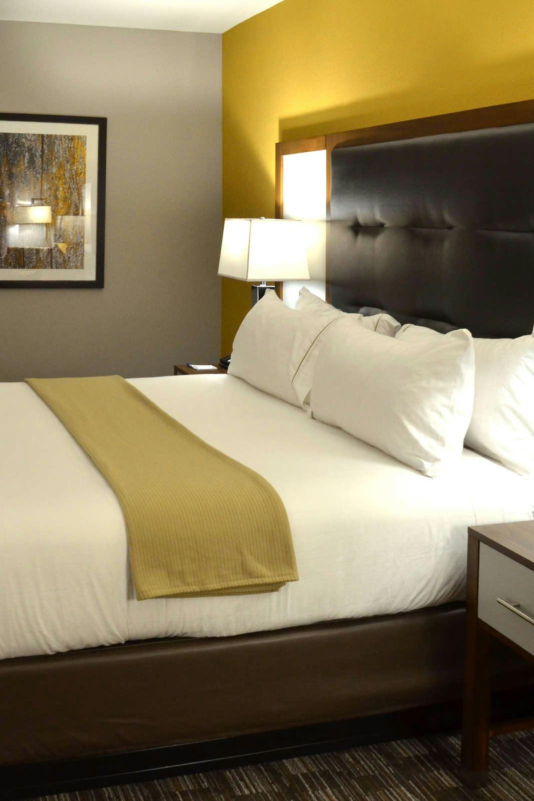 Hotel Holiday Inn Express & Suites Albany photo 4