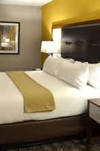 Hotel Holiday Inn Express & Suites Albany photo 4