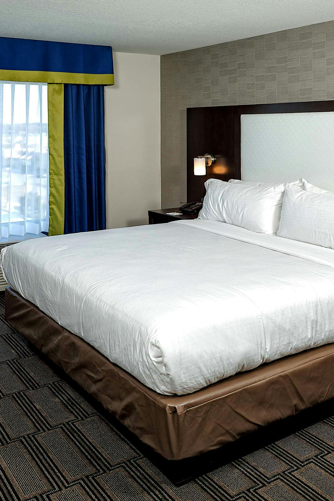 Hotel Holiday Inn Express & Suites Ann Arbor West photo 3