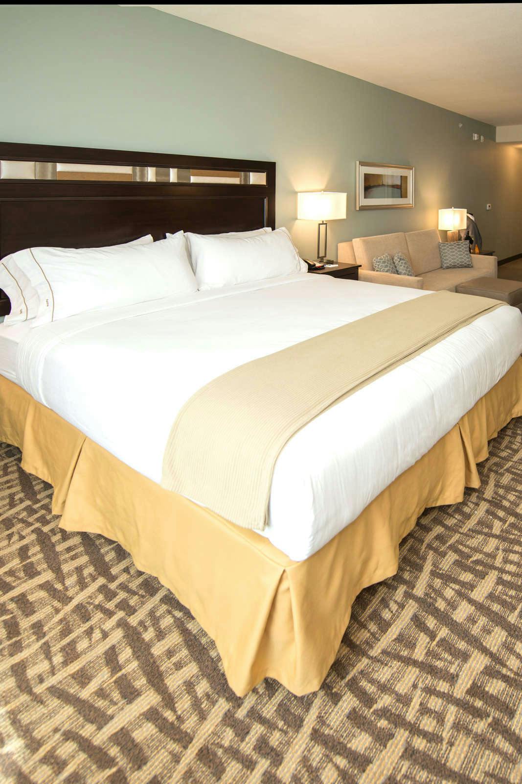 Hotel Holiday Inn Express & Suites Denver South Castle Rock photo 4