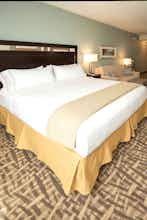 Hotel Holiday Inn Express & Suites Denver South Castle Rock photo 4