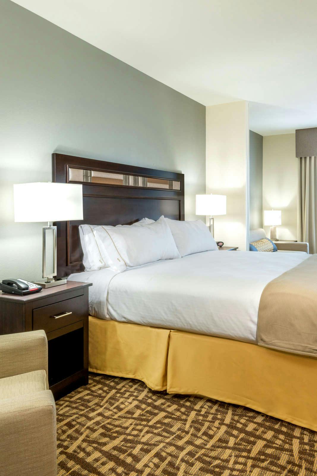 Hotel Holiday Inn Express & Suites Denver South Castle Rock photo 1