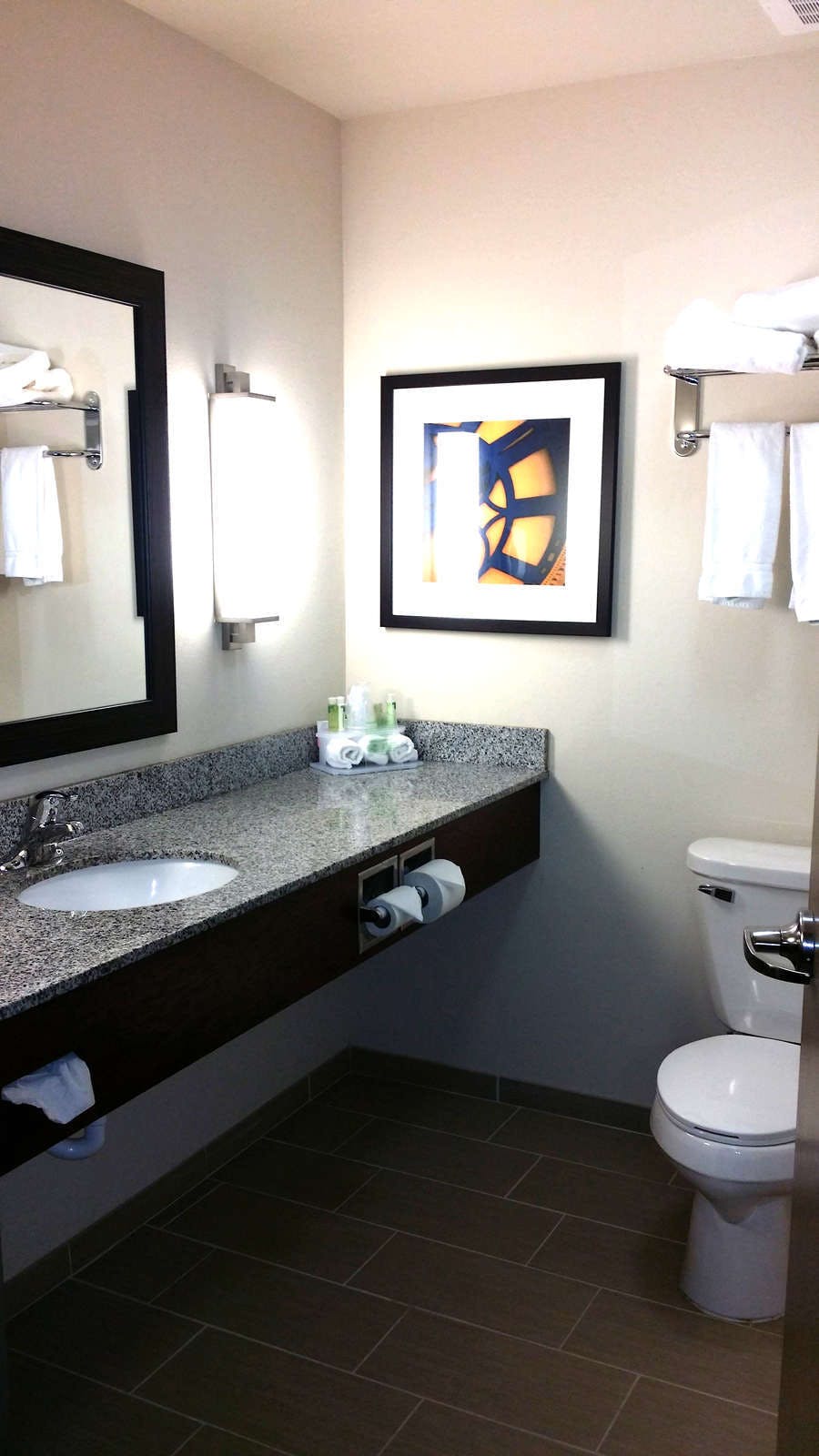 Hotel Holiday Inn Express & Suites York photo 4