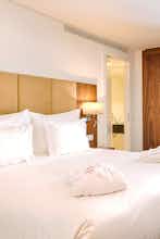 Hotel Premium Porto Downtown photo 3