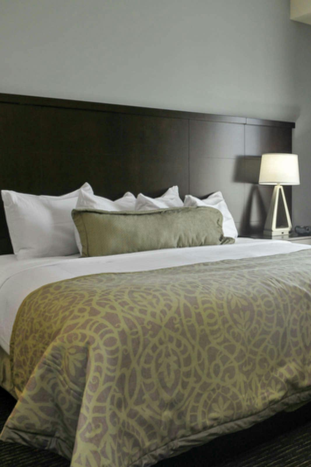 Hotel Staybridge Suites St. Petersburg Downtown photo 1