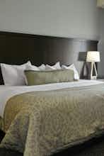 Hotel Staybridge Suites St. Petersburg Downtown photo 1