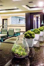 Hotel Holiday Inn Express & Suites Temple Medical Center Area photo 2