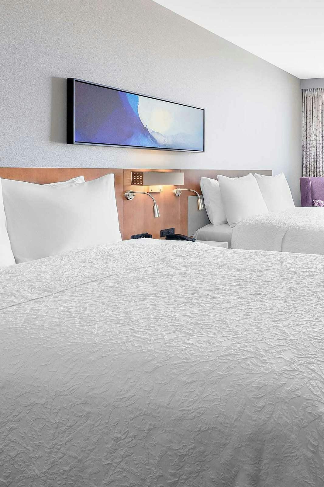 Hotel Hilton Garden Inn Chicago McCormick Place photo 1