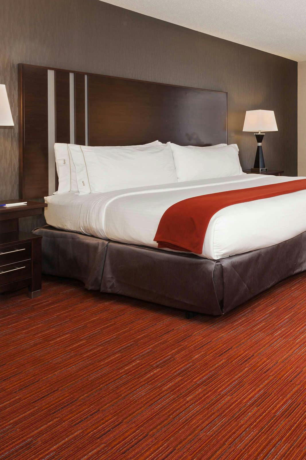 Hotel Holiday Inn Express & Suites Rapid City photo 1