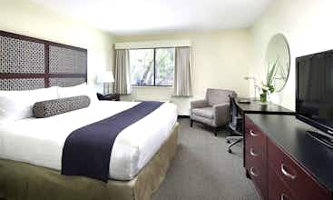 Hotel Maple Tree Inn photo 1