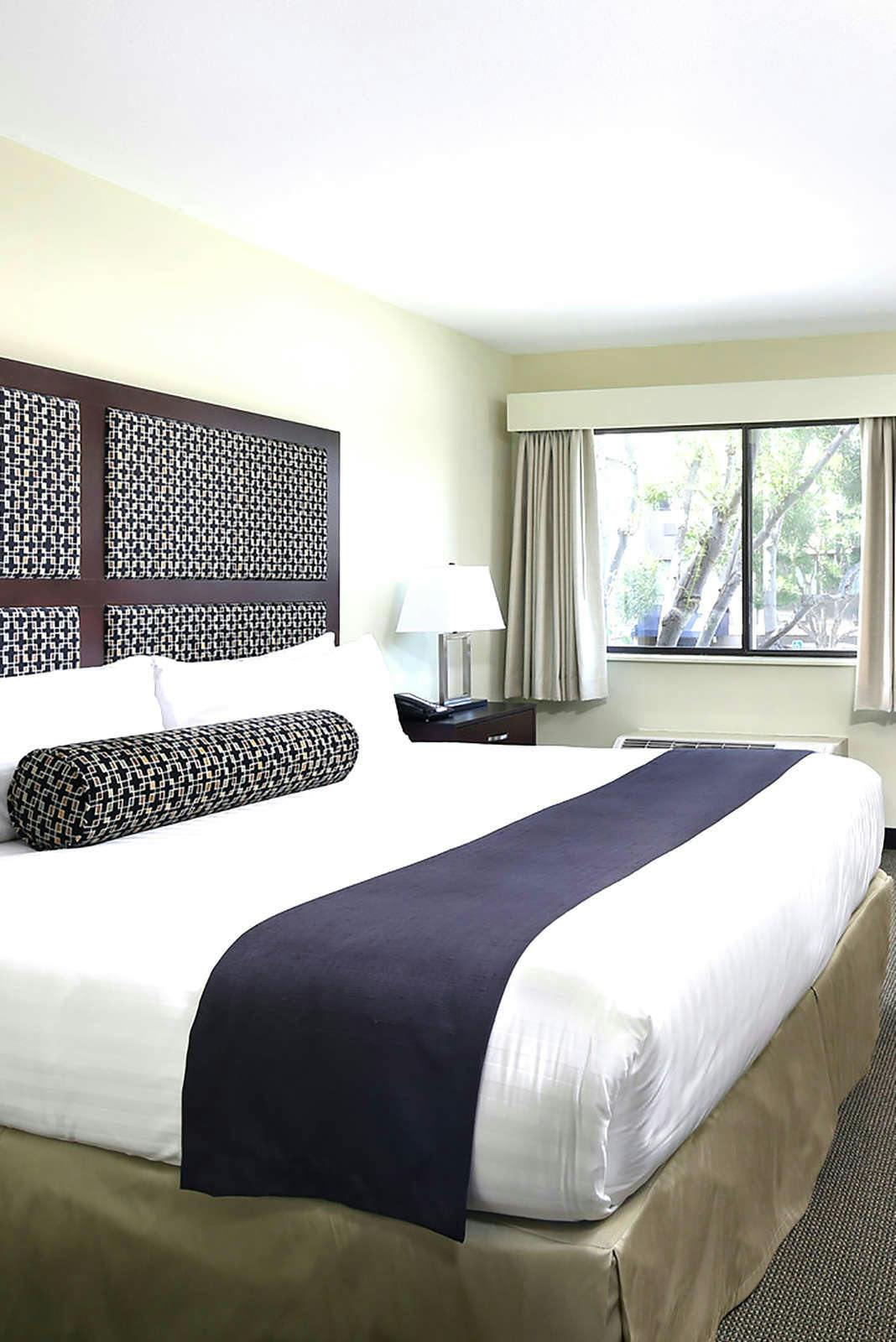 Hotel Maple Tree Inn photo 2