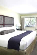 Hotel Maple Tree Inn photo 2