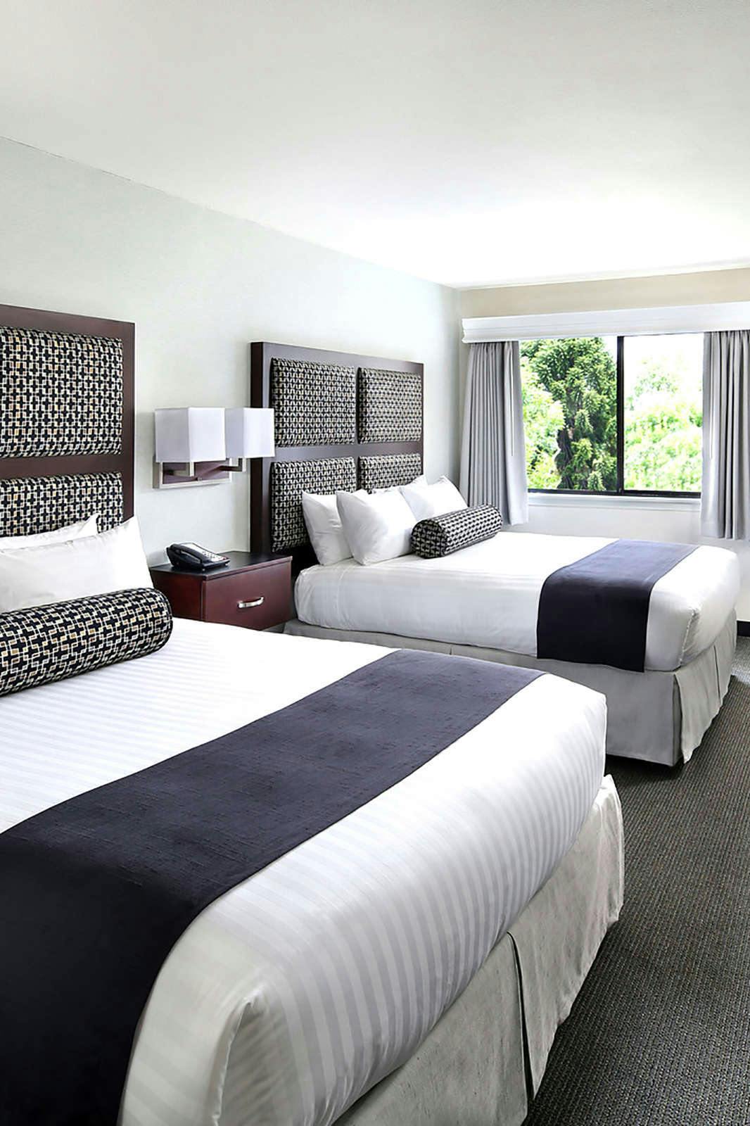 Hotel Maple Tree Inn photo 3