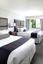 Hotel Maple Tree Inn photo 3