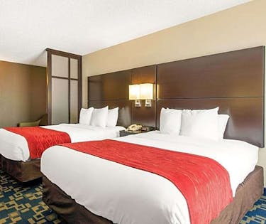 Comfort Inn Suites Near Universal Orlando Resort Orlando