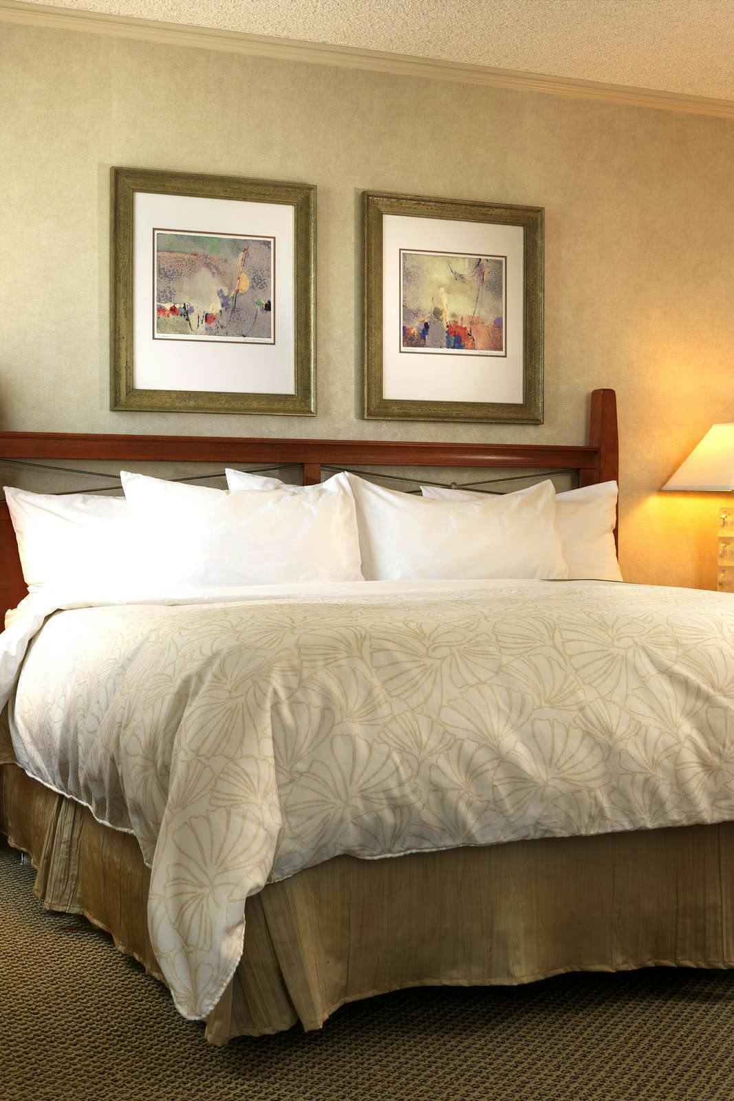 Hotel CHATEAU VICTORIA HOTEL AND SUITES photo 3