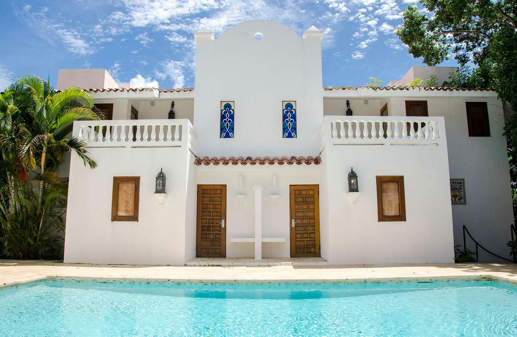 Horned Dorset Primavera