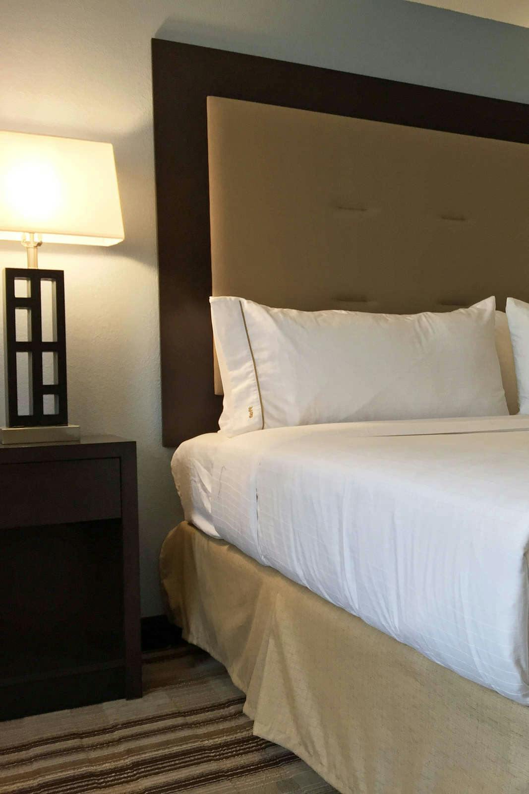Hotel Holiday Inn Express Arlington Heights photo 3