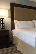 Hotel Holiday Inn Express Arlington Heights photo 3