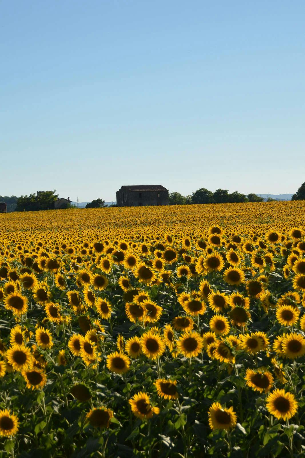 Hotel Cortona Resort - Le Terre Dei Cavalieri photo 2