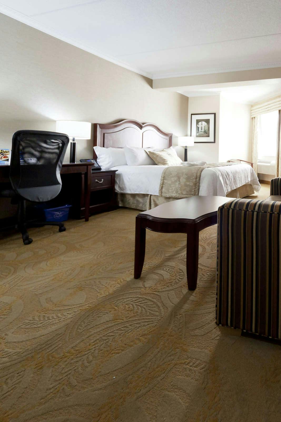 Hotel Monte Carlo Inn & Suites Downtown Markham photo 2