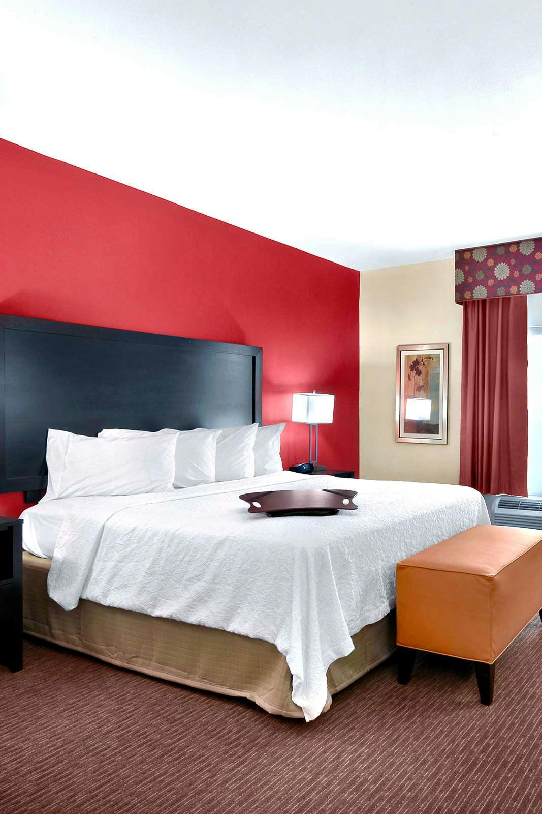 Hotel Hampton Inn & Suites Tampa Northwest/Oldsmar photo 1